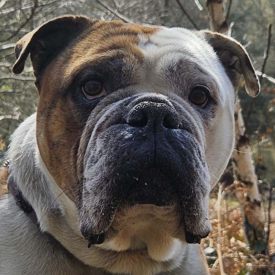 20260317-103421-610-file-threema-20260317-103420858