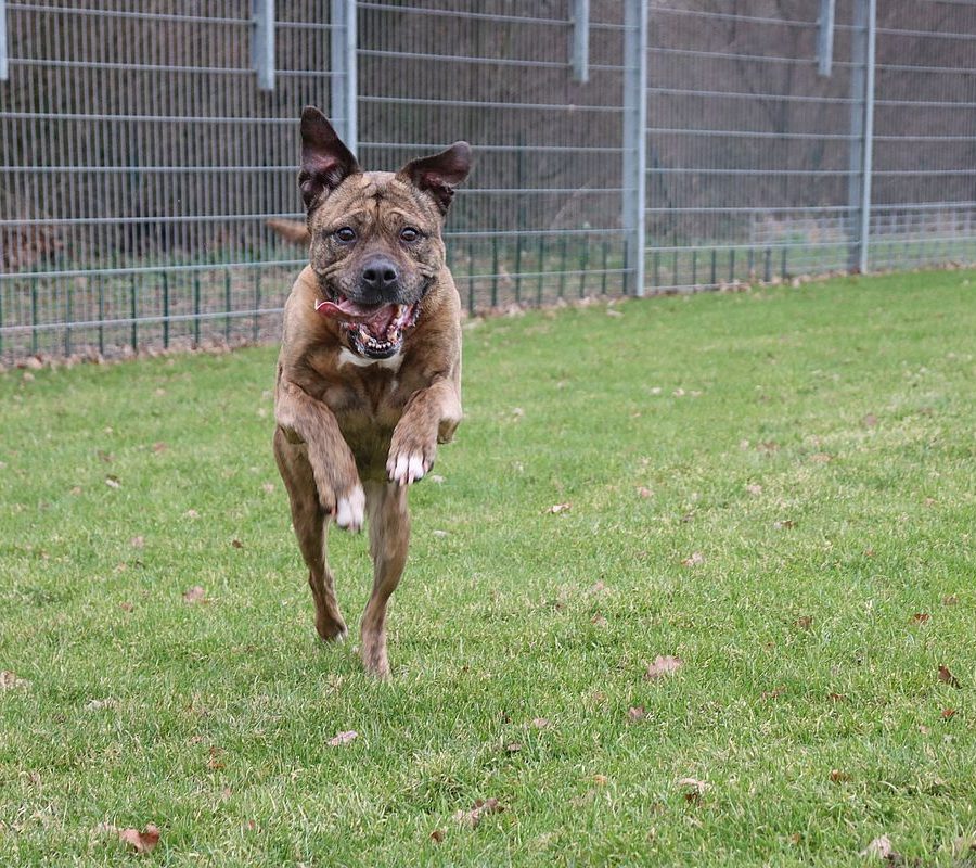 20260317-111738-566-file-threema-20260317-111736640